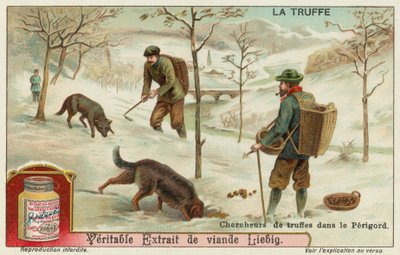 Truffle hunters in Perigord in France by European School